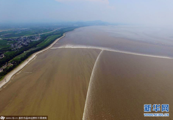 钱塘江现罕见交叉潮掀20米左右高巨浪