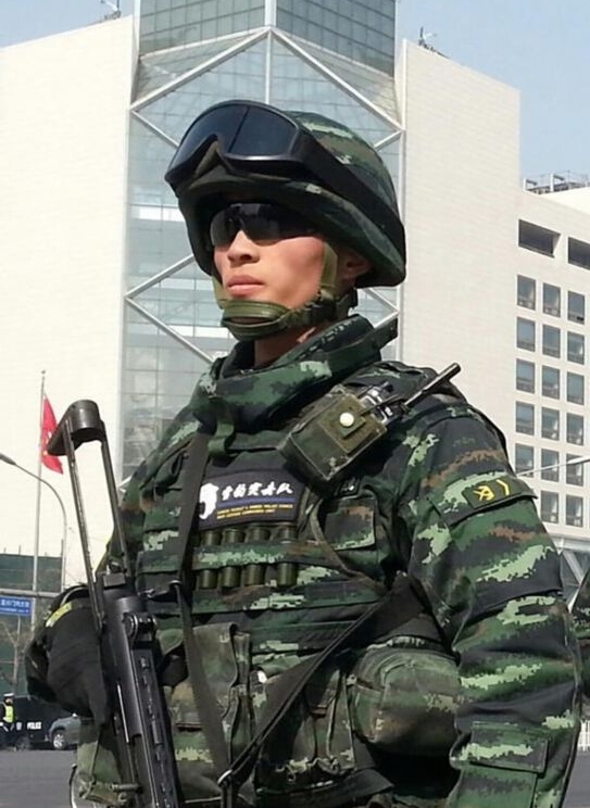 北京雪豹突击队队长图片