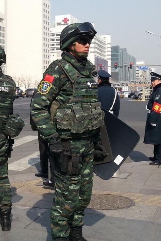 武警"雪豹突击队"英姿飒爽保两会