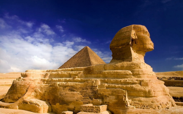 中国埃及战略对接惠及两国企业