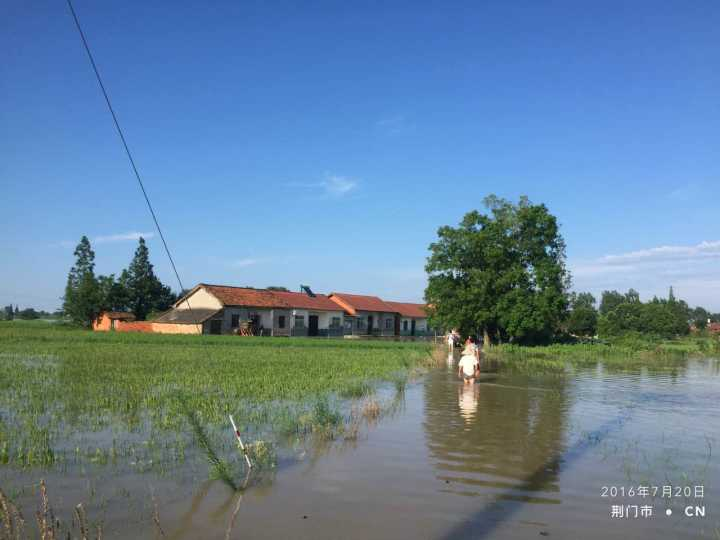 沙洋建设局网站_沙洋县住建局分局