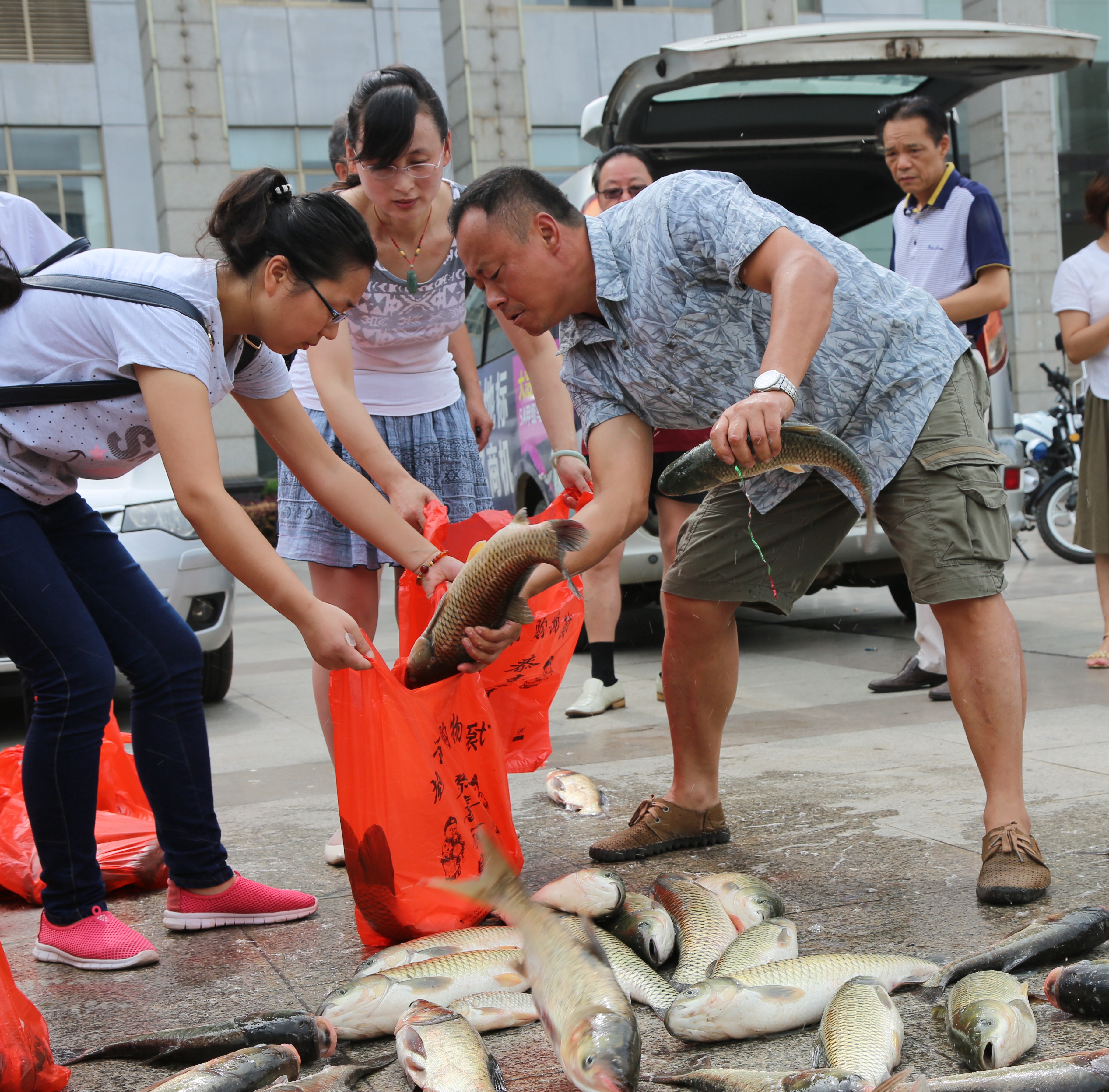大冶市干部职工踊跃购买"爱心鱼" 助渔民减少损失约12万元_长江云 - 