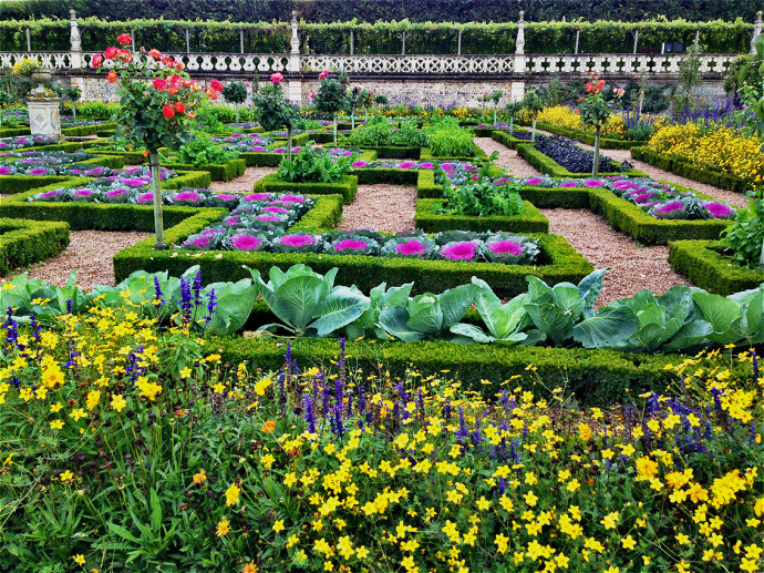 湖北首家爱心蔬菜园落户十堰 所产蔬菜义卖或农村