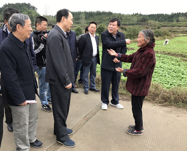 办公室,种植业处,省油菜办等单位主要负责人,咸宁市农业局局长来华雄