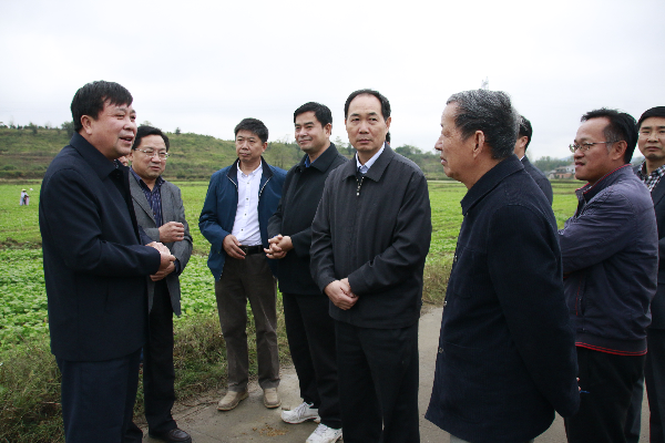 办公室,种植业处,省油菜办等单位主要负责人,咸宁市农业局局长来华雄