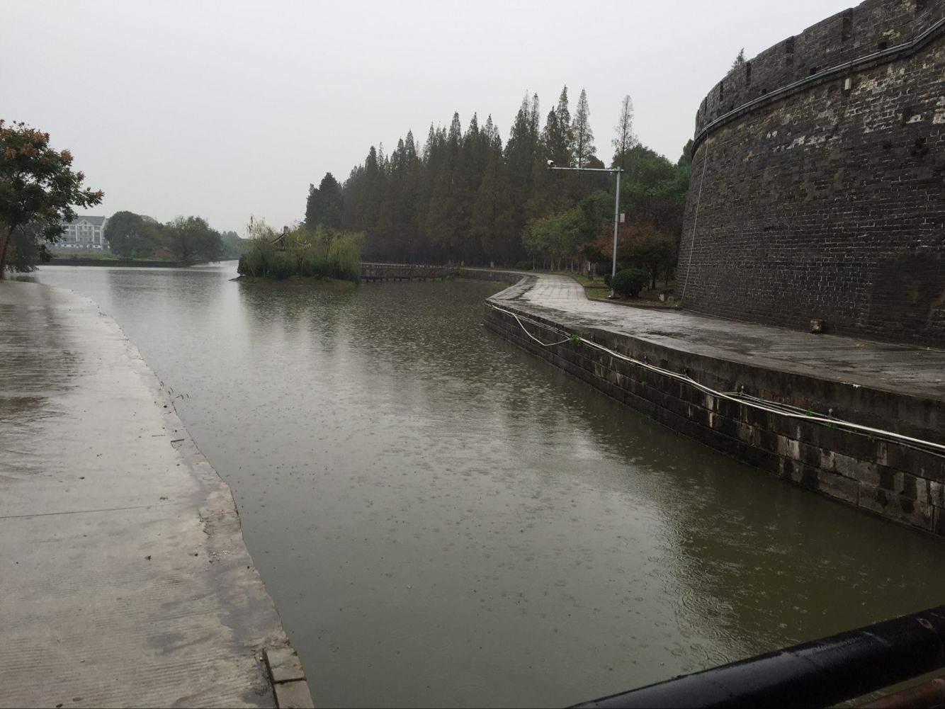 荆州古城西门护城河出现大量死鱼_长江云 - 湖北网络广播电视台官方