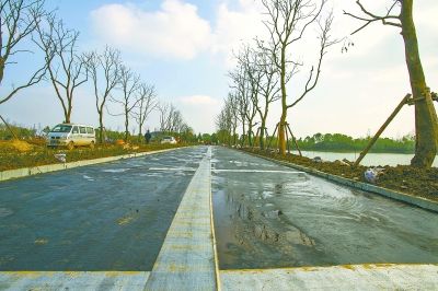 原生态东湖绿道秀出落雁美景