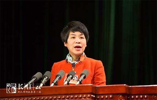 李燕萍(省政协常委,民建湖北省委副主委,武汉大学经济与管理学院副