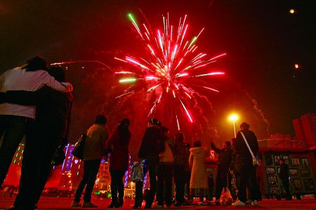 燃放烟花"添乱" 鸡年春节"气质"不佳