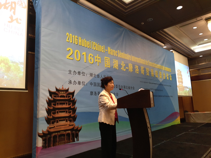 2016中国湖北-摩洛哥贸易投资洽谈会成功举办