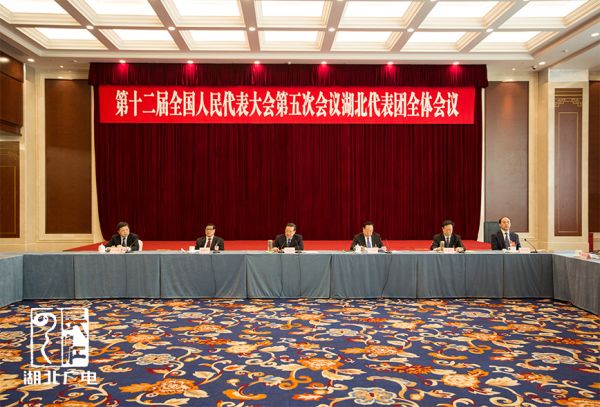 湖北代表团举行第一次全体会议 推选团长和副团长