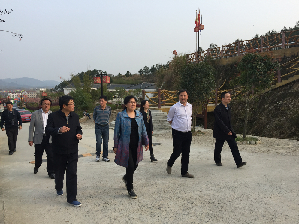 罗田骆驼坳镇燕窝垸村小型沼气工程考察麻城市炭气联产项目调研组一行