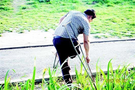 拄着双拐捡垃圾襄阳最美背影哥感动路人