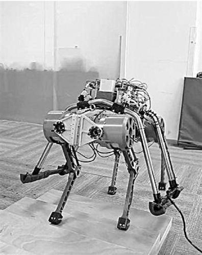 新"赤兔"机器人轻松爬楼梯 可在复杂地形探险