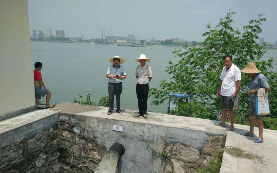 江口電排站開機提江水七星臺抽井水灌溉蔬菜基地入夏以來,枝江久旱少