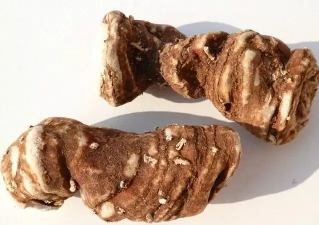 重楼根茎入药,有清热解毒,消肿止痛,凉肝定惊之功效,常用于疔疮痈肿