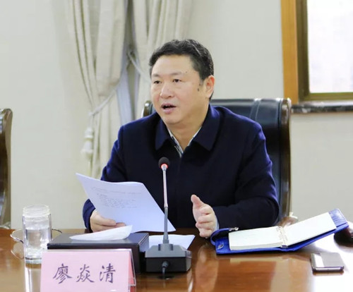 图为湖北省检察院党组副书记,常务副检察长郑青出席会议并讲话△图