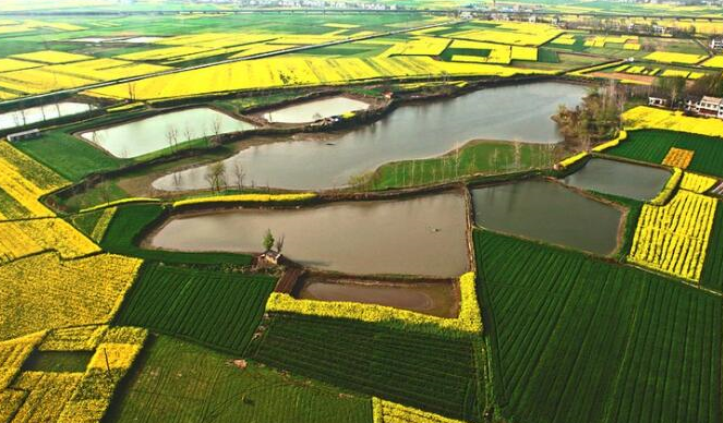 两会热点提案关注 | 乡村振兴,湖北力促江汉平原全面振兴 _长江云 - 