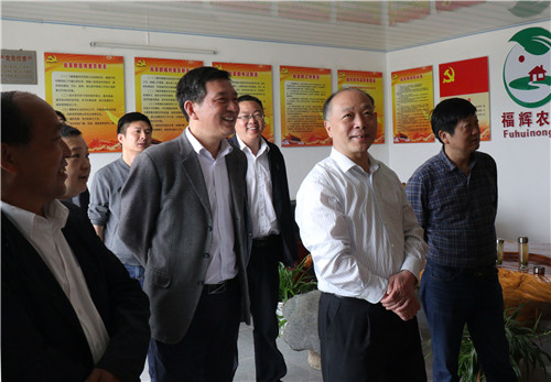 在黄梅县,刘长华一行观摩了杉木乡柯岭村农机春耕春播现场,调研了县