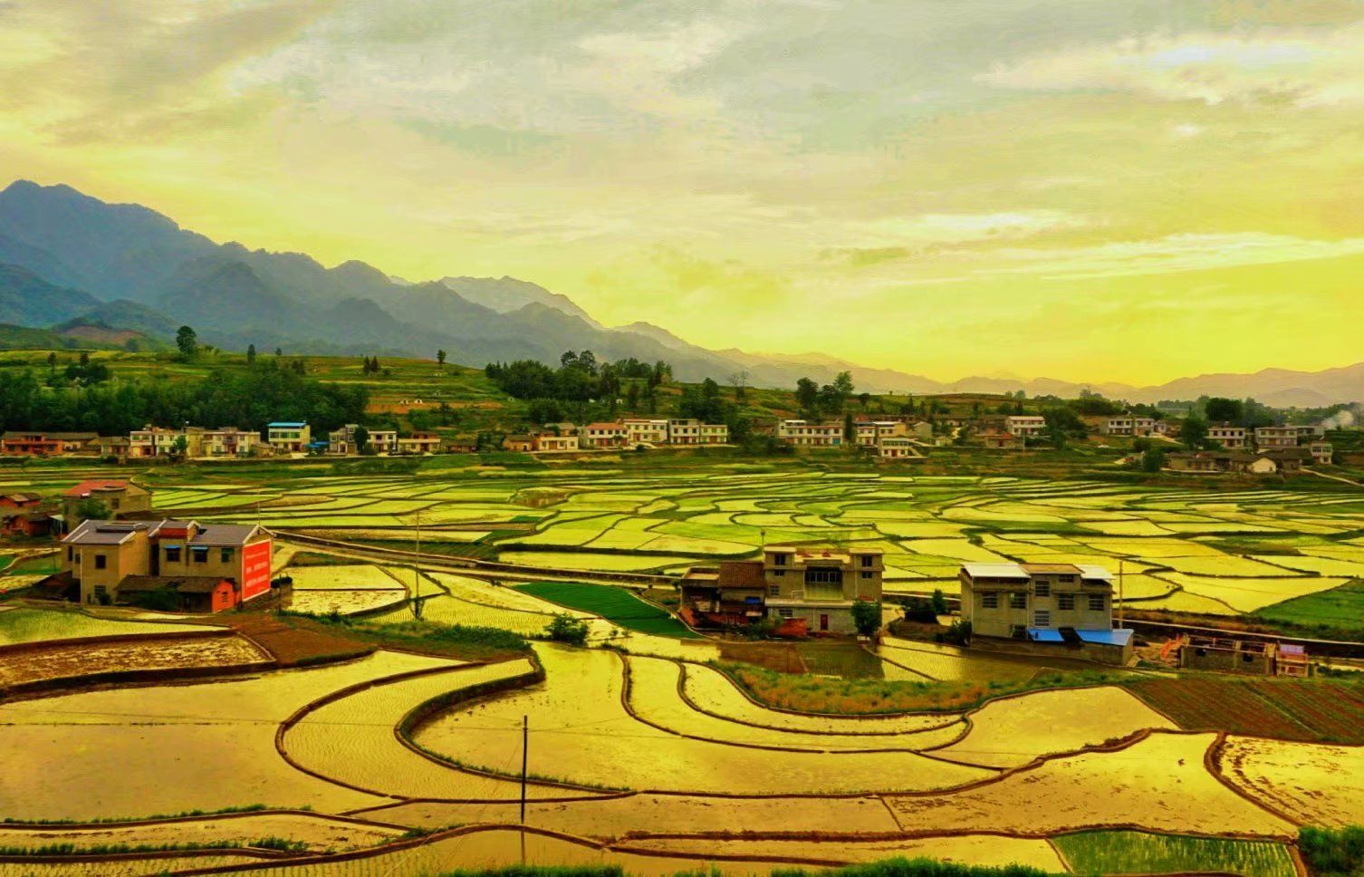 秦楚拍客:醉美竹溪——诗画贡米田园_长江云