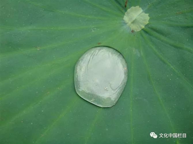 鸡鸣不已之际,我们可以用清明的心灵来观照;当举世狂欢,众乐成城之时