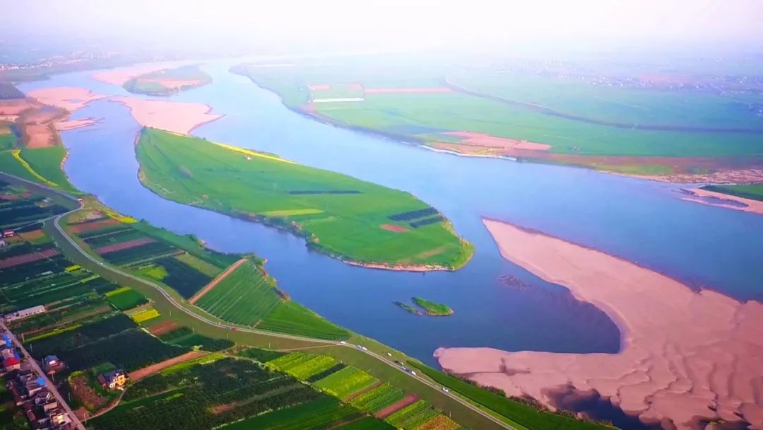 蝉鸣的夏季遇见百里洲砂梨