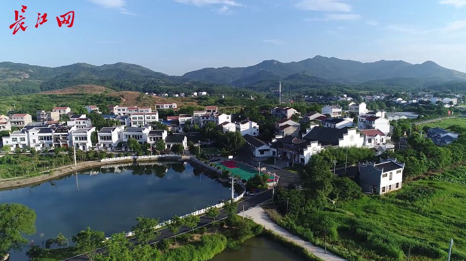 聊一聊新"黄陂三先"_长江云 - 湖北网络广播电视台官方网站