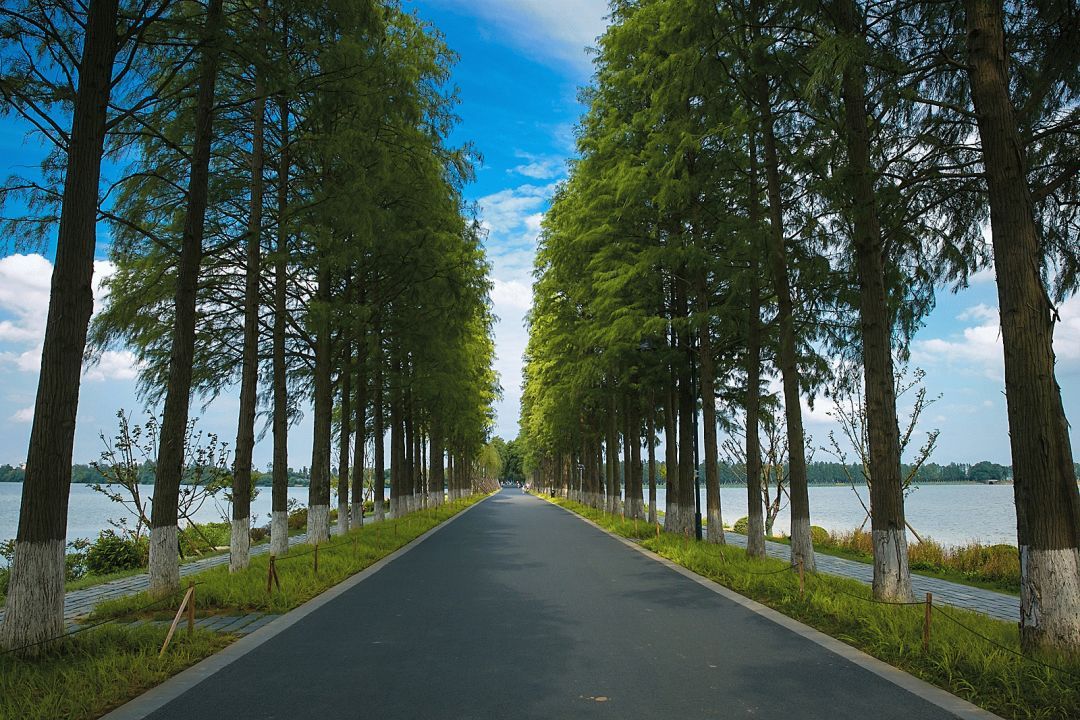 武汉马上要改名了,新名字是…_长江云 - 湖北网络广播电视台官方网站