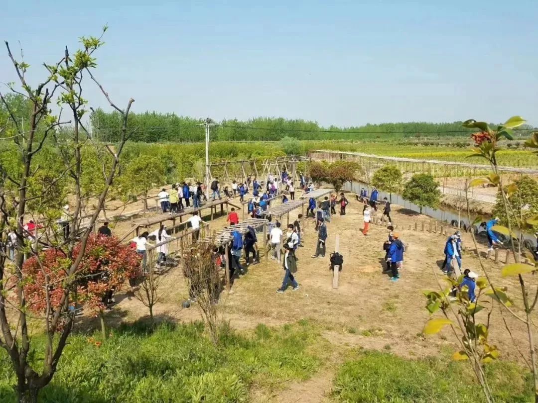 湖父鎮網站建設團隊_(適者生存作文800字議論文)