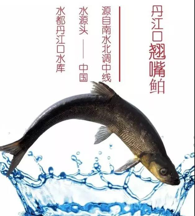 直播预告 | 让杜甫都嘴馋的这道湖北美味,你一定不能错过!