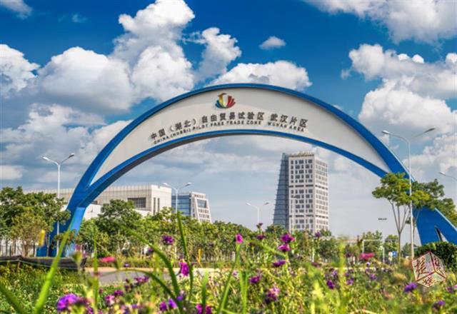 零起点获评高级职称武汉自贸区民营企业家有话说