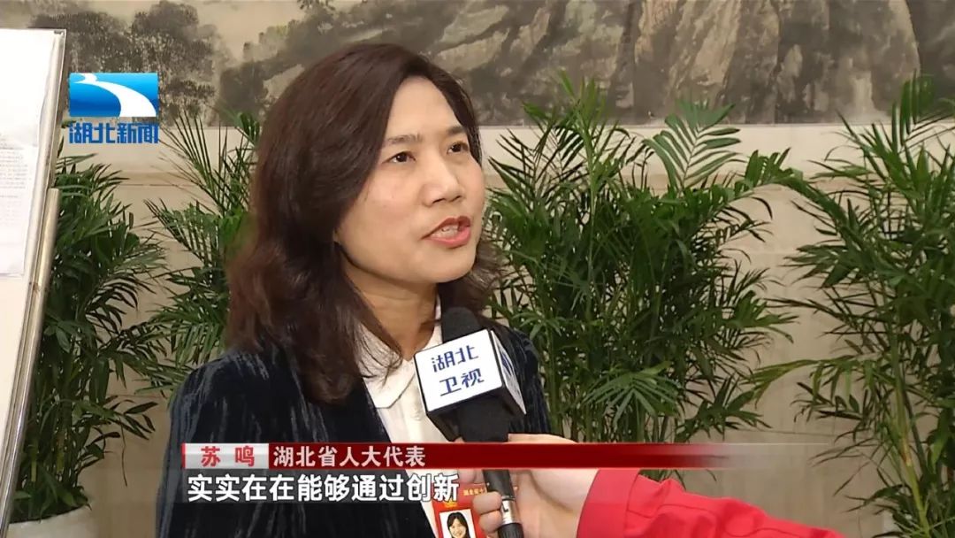 湖北省人大代表:做新时代的"追梦人"