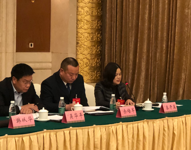 湖北省人大代表秦开美乡村振兴教育是关键