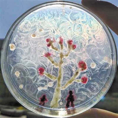 小细菌背后的大学问微生物竟然也能作画