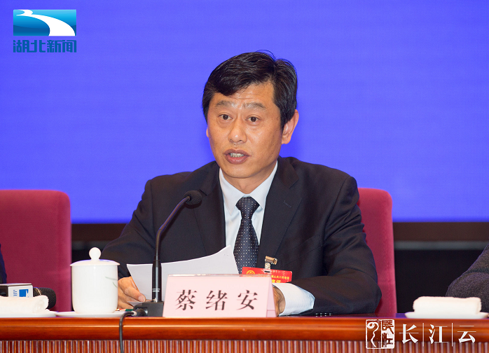 湖北省人大代表,麻城市委副书记,市长蔡绪安介绍了麻城市脱贫攻坚相关