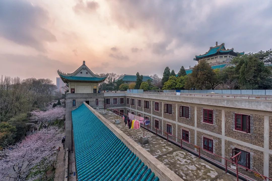 每一张都是壁纸武汉各大高校的春天你pick哪儿