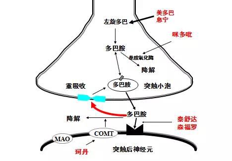 荆楚大医生|让我们多聊聊帕金森病