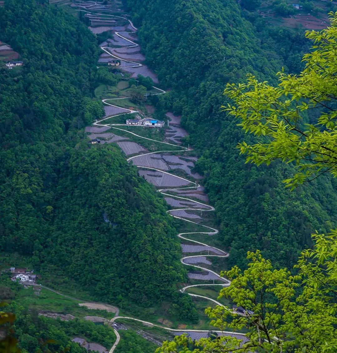 美丽乡村看公路湖北省首届四好杯摄影比赛获奖作品出炉