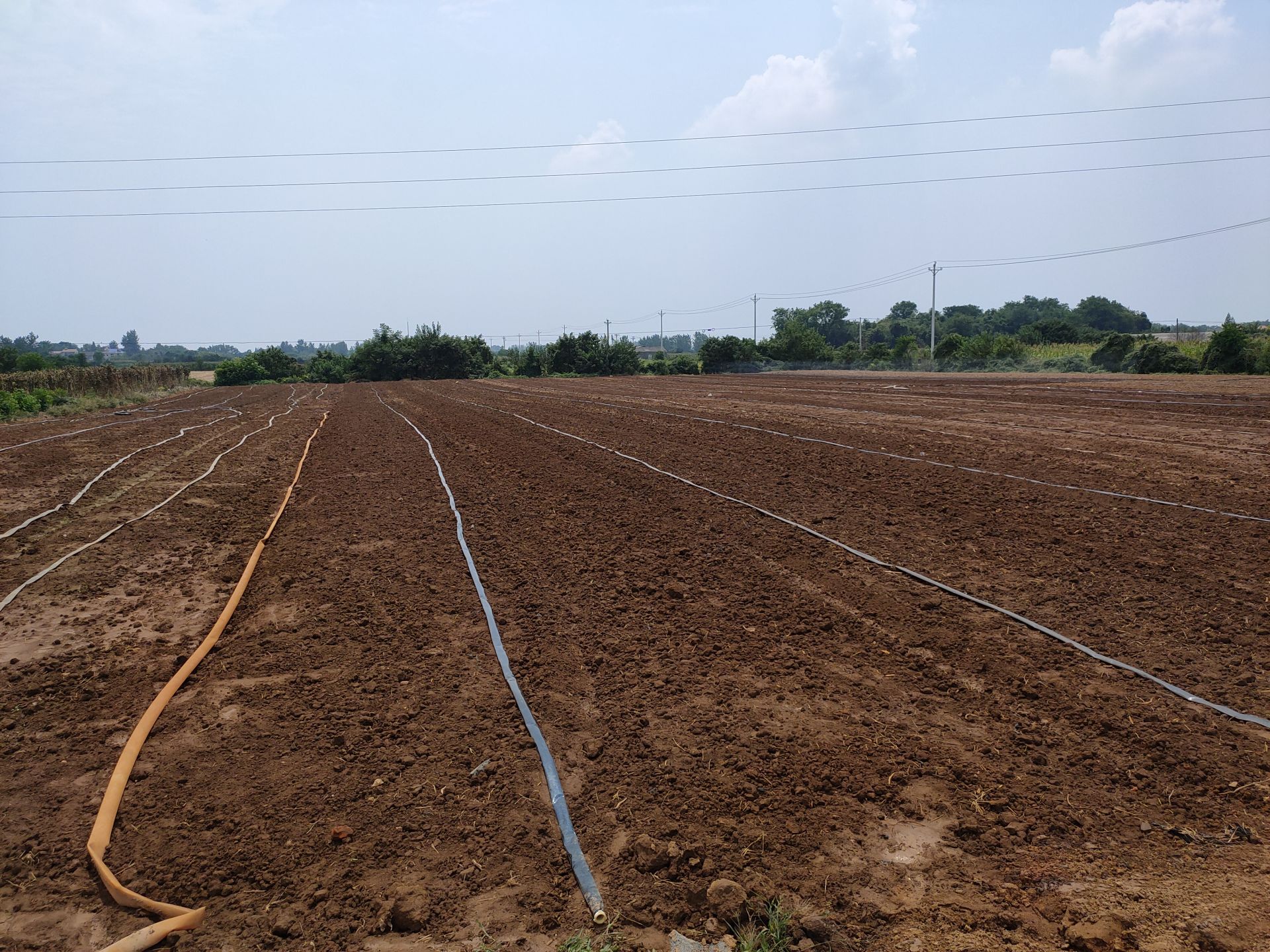 应城小机井的大用途