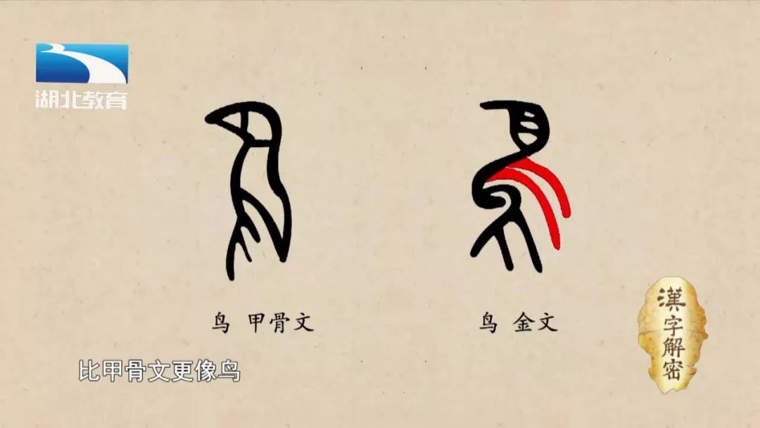 鸟字的演变过程图形图片