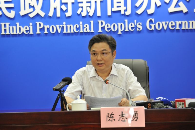 陈志勇出席庆祝新中国成立70周年新闻发布会