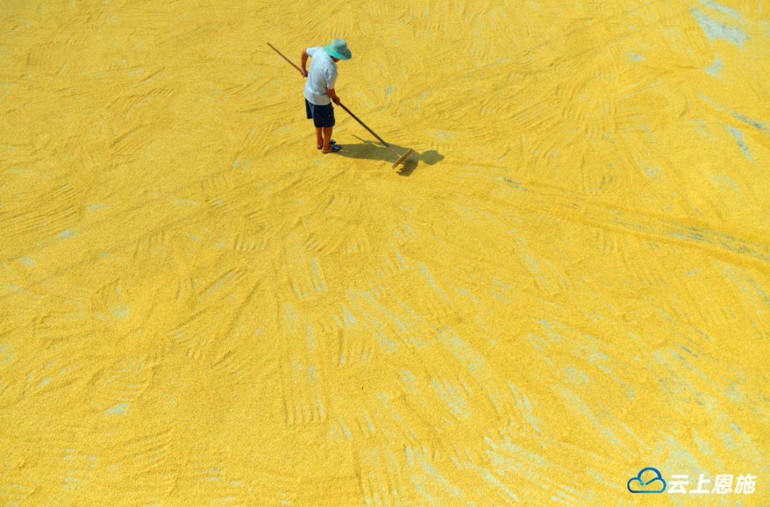 在恩施有一种幸福叫晒秋