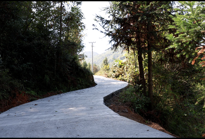 青岗坪村开来了扶贫专列