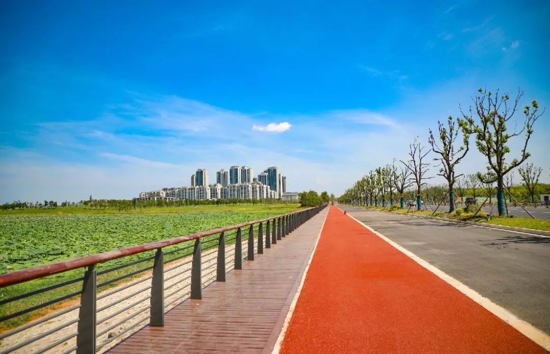 黄家湖大道绿化带整个黄家湖大道原来两边高压铁塔林立,占用了一定