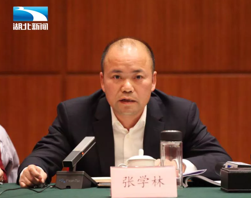 1月14日下午,湖北省人大代表,老河口市委书记张学林在审议《湖北省