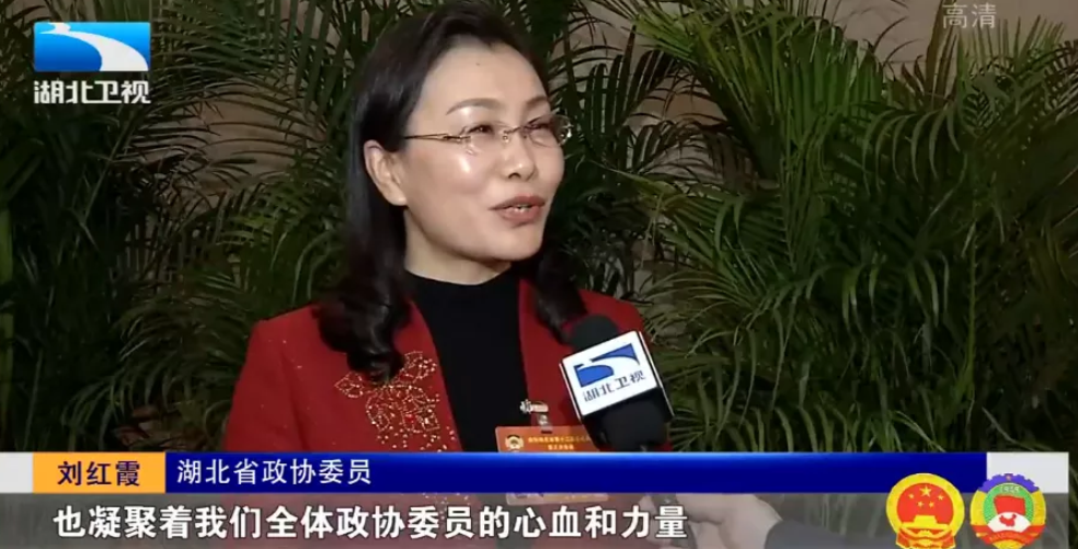 专题| 2020·两会同期声