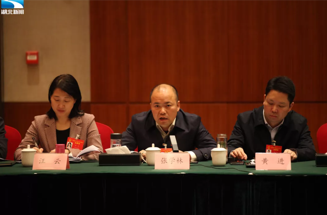 对此,省人大代表,老河口市委书记张学林建议,加快恢复生猪生产的同时