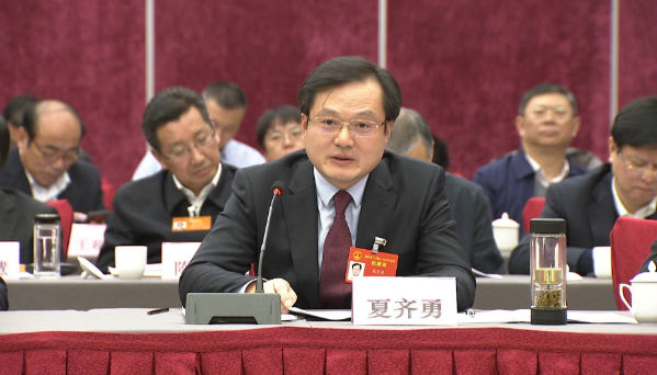 湖北省人大代表夏齐勇围绕纸业特色优势打造卫生用品之都