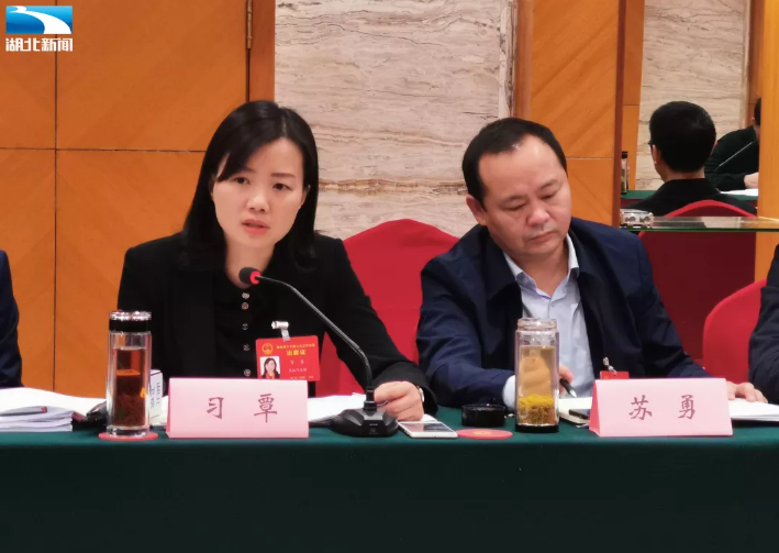 习覃代表易地扶贫搬迁的后续扶持要有刚性内容