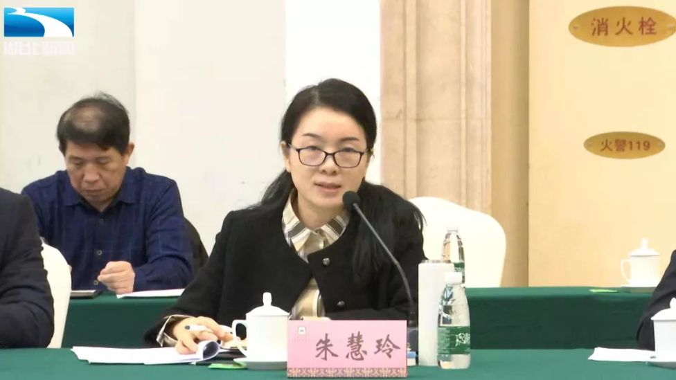 朱慧玲代表加密通道建设推进武汉城市圈一体化进程